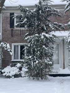 907 N Raynor Ave, Joliet, IL, 60435