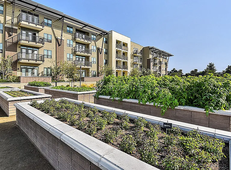 Citrine Apartments Arcadia — Photo 25