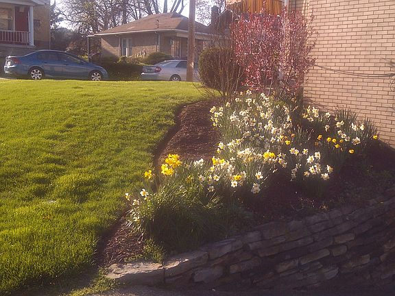 More perennials