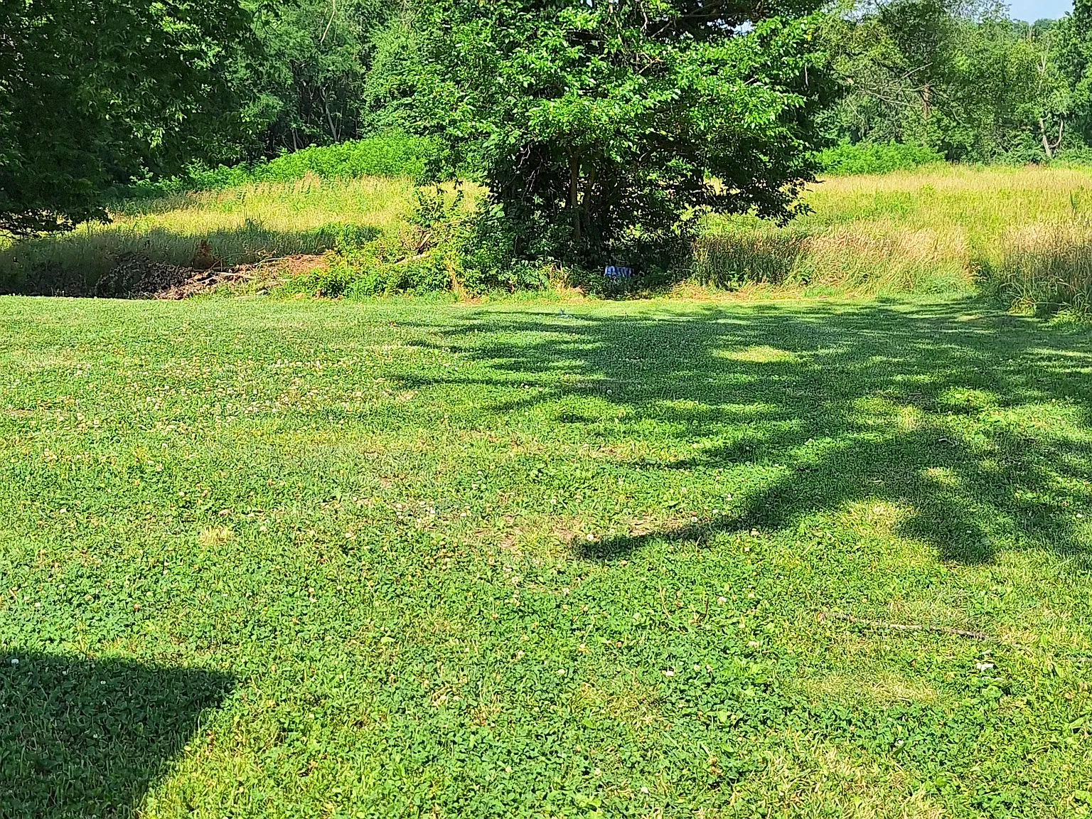 3 bed, 1.5 bath, 925 sqft, $1,500 — Photo 3