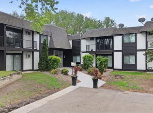 Dockside Apartments & Boat Slips - Lake Minnetonka, Spring Park, MN 55384