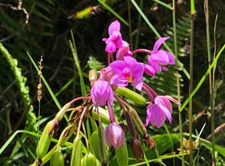 Kailua Rd LOT 397, Pahoa, HI 96778