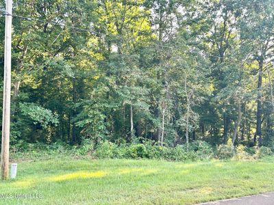 LOT 87 Crockett Cv, Hernando, MS, 38632