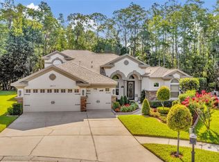 14117 Lincolnshire Ct, Tampa, FL 33626
