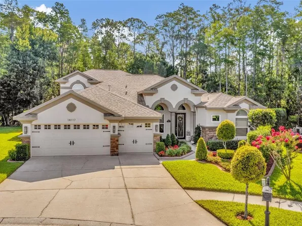 14117 Lincolnshire Ct, Tampa, FL 33626