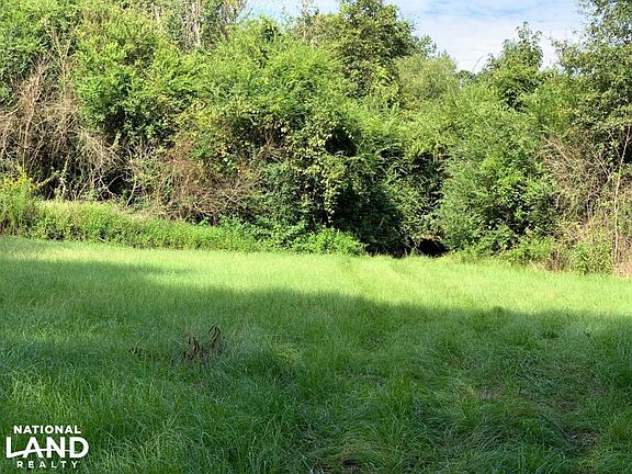 Road Connecting Hay Fields