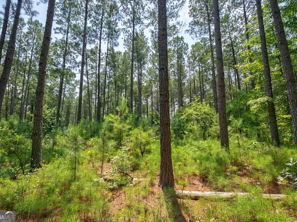 0 Jabez Poyner Rd, Carlton, GA 30627