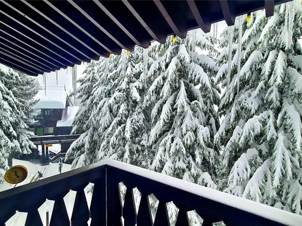 33613 E Crystal Mountain Boulevard #524, Enumclaw, WA 98022