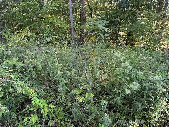 5th image of LOT 3 Roberts Ridge Rd