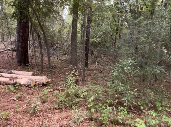 151 Fairview St, Bullard, TX 75757