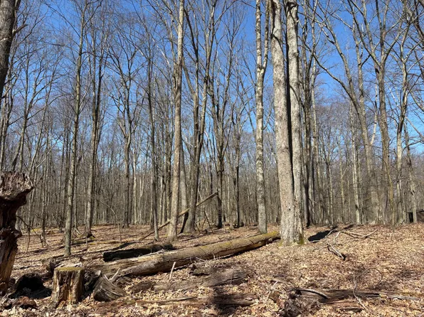 Pimlico Rd Lot 211, Du Bois, PA 15801