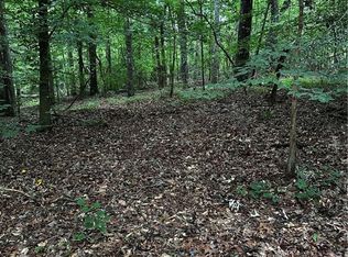 0 Ayers Rd TRACT 4, Bowdon, GA 30108