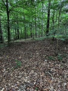 0 Ayers Rd TRACT 4, Bowdon, GA, 30108