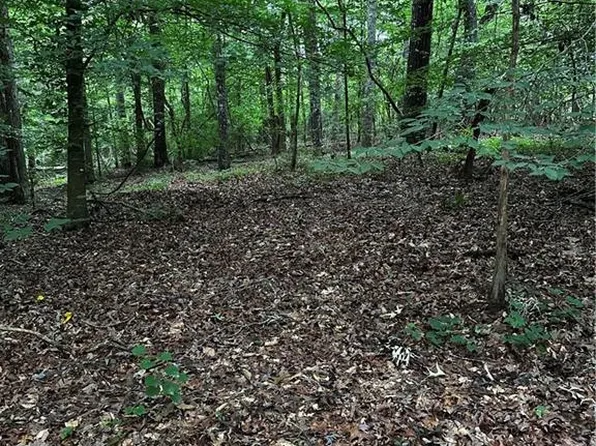 0 Ayers Rd Tract 4, Bowdon, GA 30108