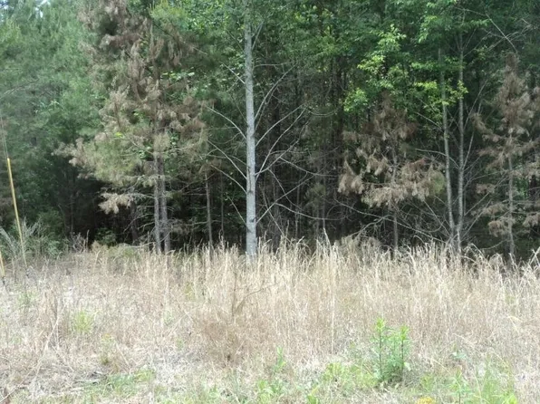 0 Knottywood Dr, Lavonia, GA 30553