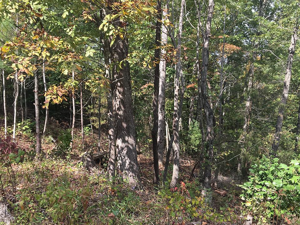 1st image of James Pt #8-14