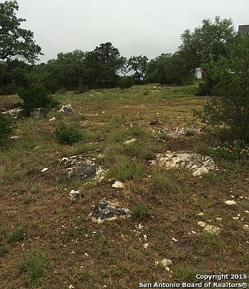 5th image of 23009 Mangrove Dr