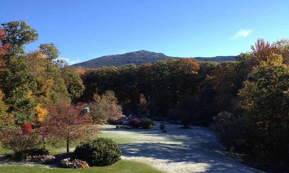 View from living room, sunro