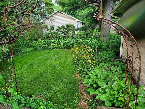 view from patio summer