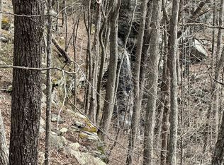 4441 Deer Run Rd, Altamont, TN 37301