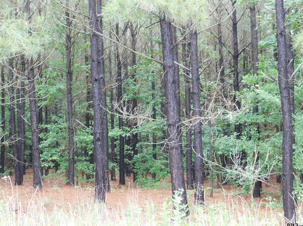 Tbd Groundhog, Gilmer, TX 75644