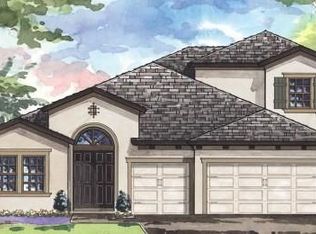 8736 Birchleaf Ct, Land O Lakes, FL 34637