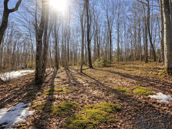 0 Redwood Dr, Terra Alta, WV 26764