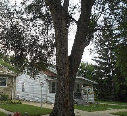 2nd image of 4229 Edgewood St