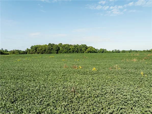 Sycamore Rd, Centerburg, OH 43011
