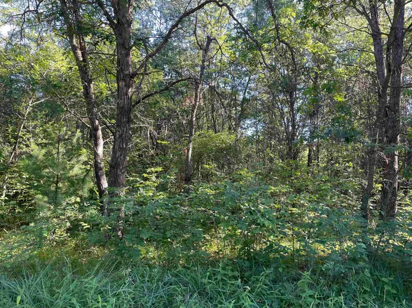 PARCEL-1300440D Lynn Hill Rd, Nekoosa, WI 54457