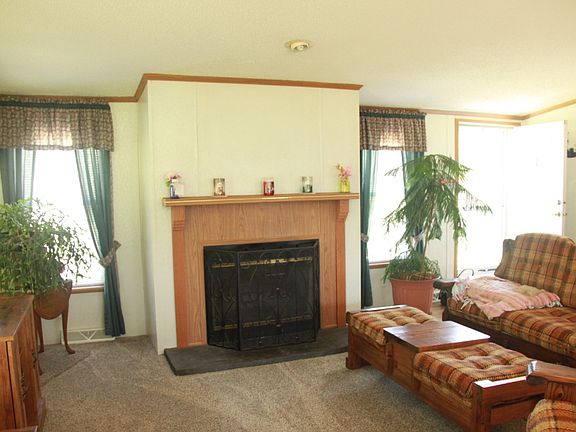 wood burning fireplace