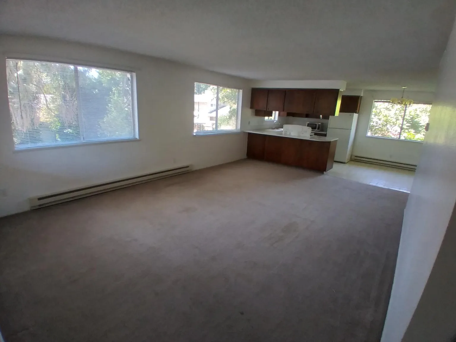 NW 25th St, Corvallis — Photo 4