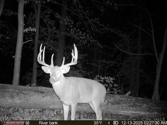 2nd image of 357 Enley Rd