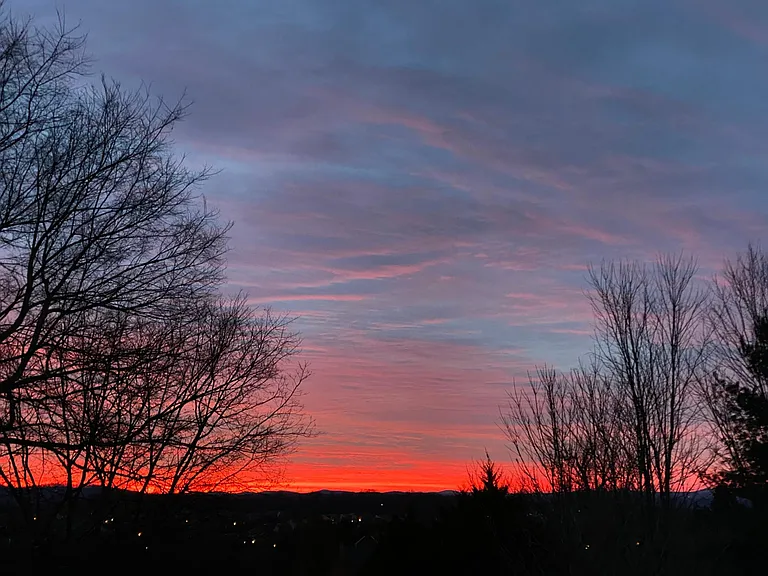 Beautiful night sky from the backyard