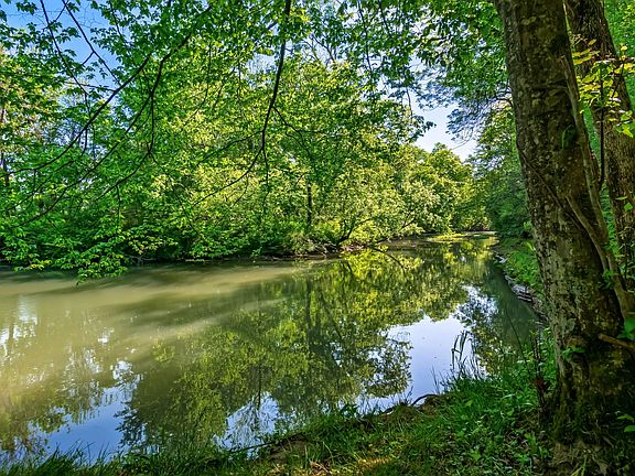 53rd image of 300 Gunter Smith Rd