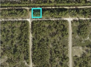 306 W 18th St, Lehigh Acres, FL 33972