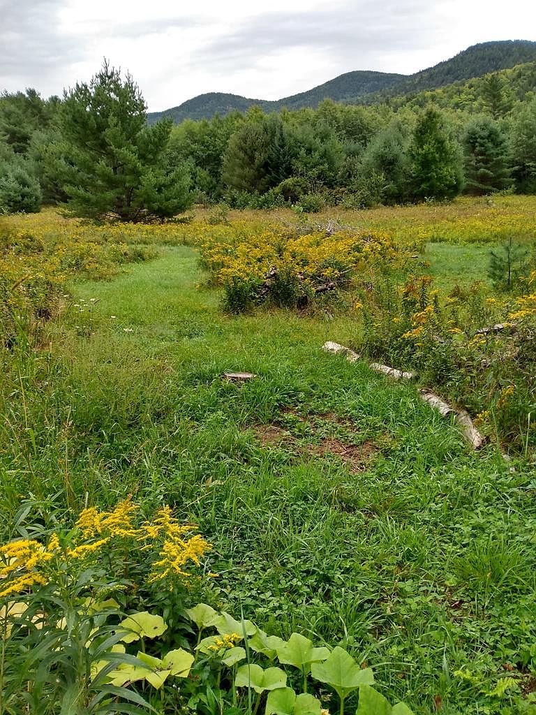 400 & 426 Hazen Rd, Jay, NY 12941 Zillow