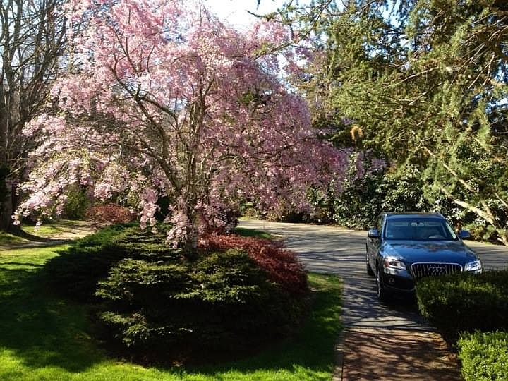 2nd image of 15 Riverview Dr