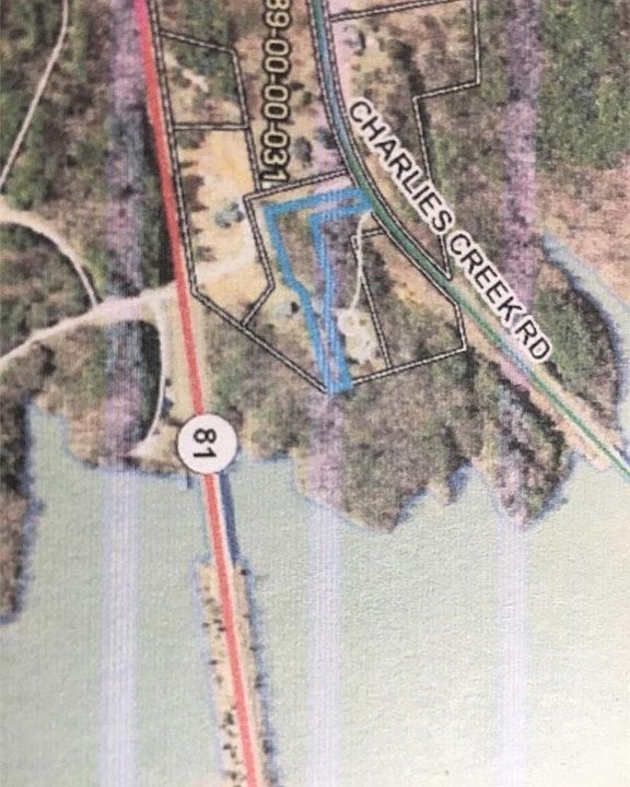 2nd image of 0 Charlies Creek Rd