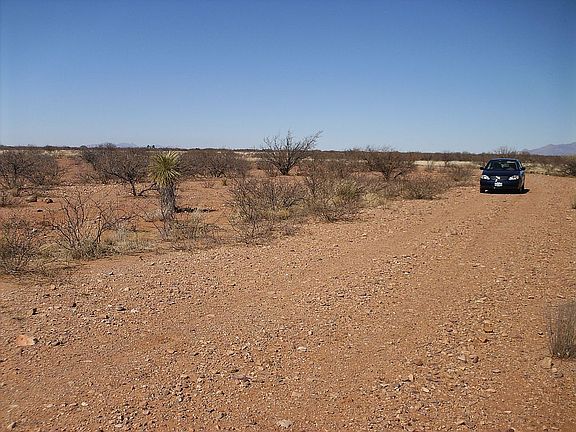 Street View to North