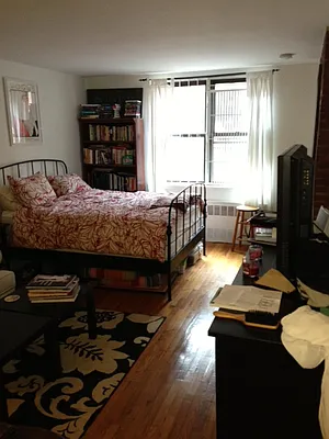 Rented by Eric Goodman Realty Corp | media 20