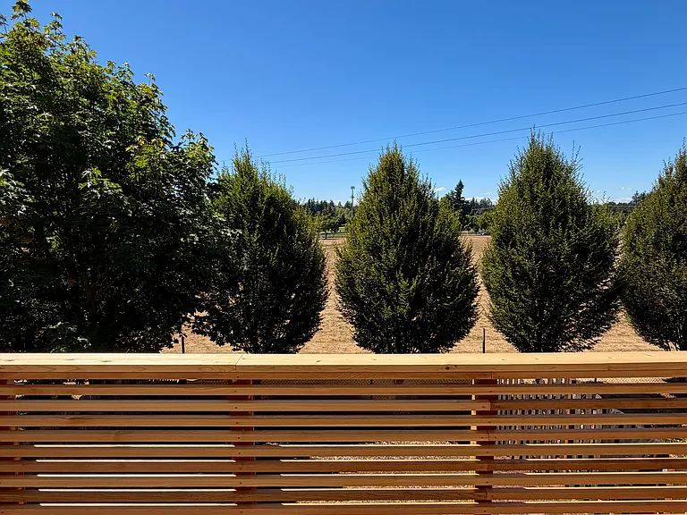 Quaking Aspen Ave — Photo 3