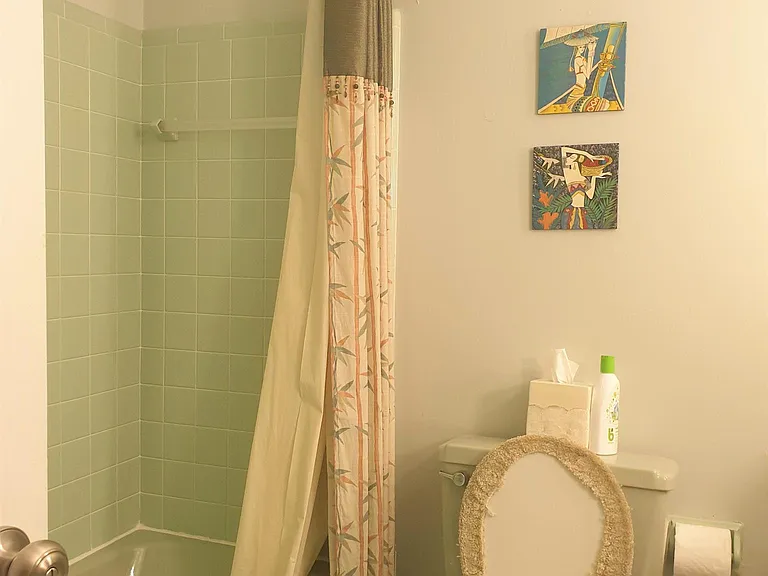 Hall Bathroom