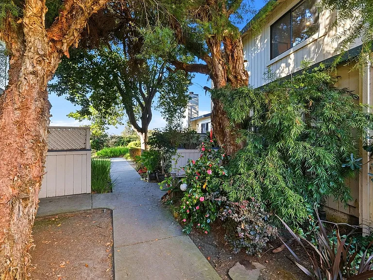 229 Silver Leaf Dr #B — Photo 17