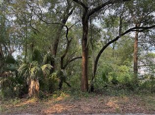 Strawberry Ave LOT 5, Sorrento, FL 32776