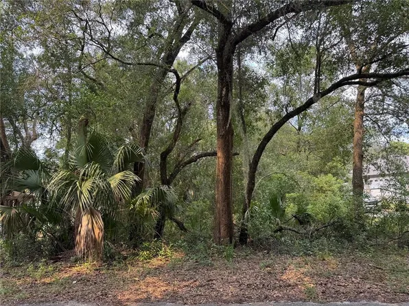 Strawberry Ave Lot 5, Sorrento, FL 32776