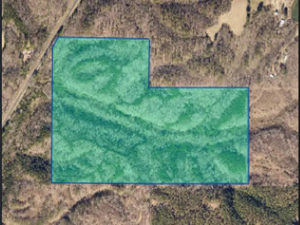 0 Highway 91, Hanceville, AL 35077