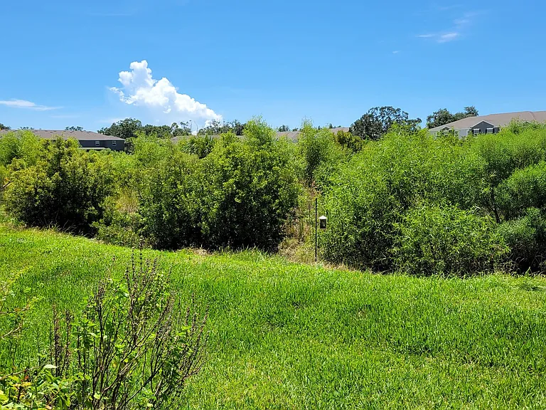 8545 Milestone Dr — Photo 15