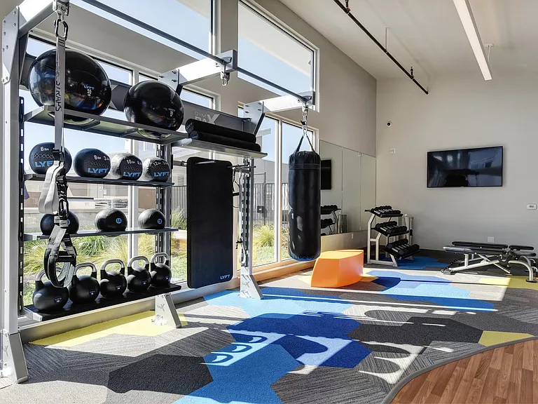 Community Gym with Weights and Boxing Bag