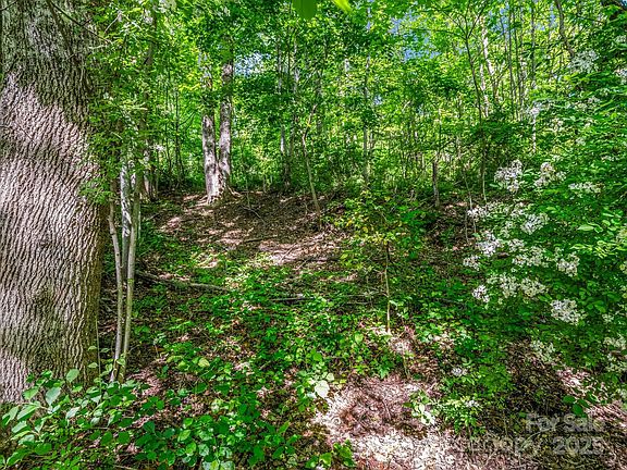 5th image of 0 Hamilton Acres Dr #4-5-6